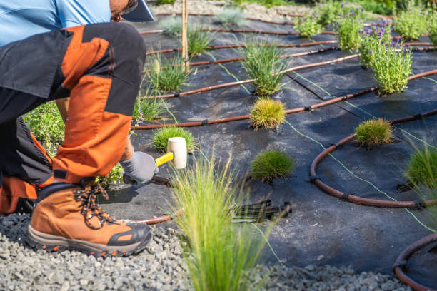 istock Gardener Installing Drip Irrigation in a Sunlit Landscape 2165547585