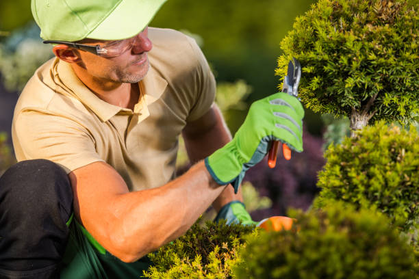 istock Gardener Pruning Shrubs in Garden 2165549792
