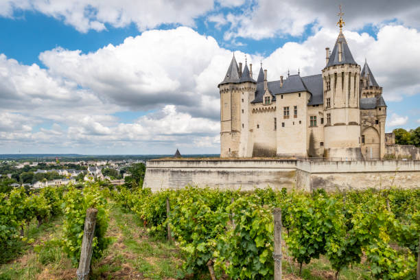 Panoramic of Saumur Chateau overlooking the Loire river and Valley. Stormy clouds given a nice dramatic look