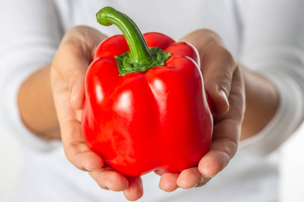 Red bell pepper (capsicum) known as sweet bell pepper, paprika on vintage wooden background with red kitchen towel.