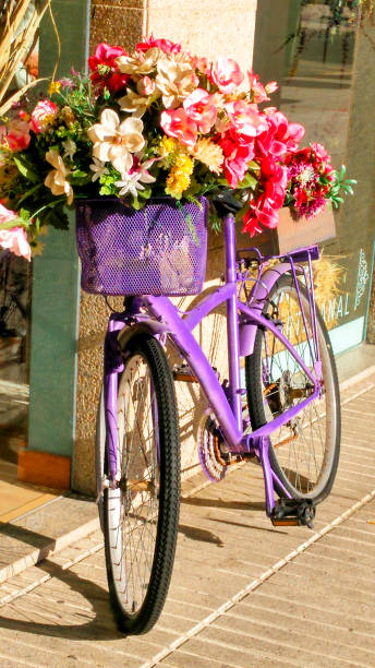 istock Old bicycle leaning in street sidewalk, multi colored flower bunches. 2165556992
