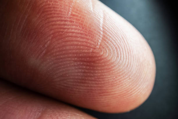 istock Fingerprint texture of finger skin 2165557857
