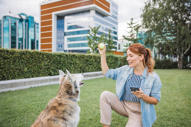 istock Playing with dog and investing online 2165560250