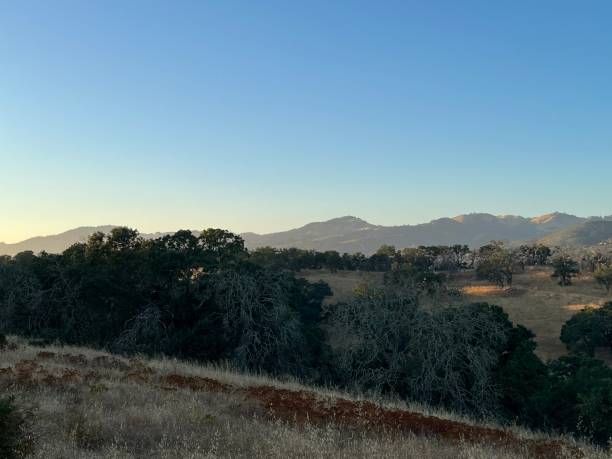 istock Sonoma Valley Regional Park, Sonoma County, California 2165565800