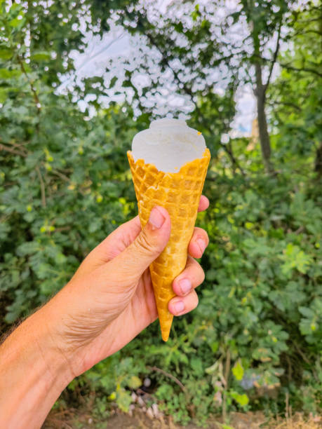 istock Ice cream in the cone hold in man hand. 2165566290