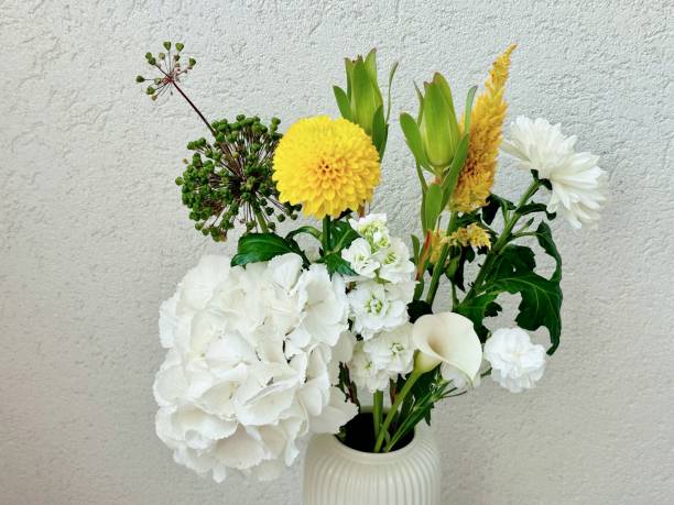 Fresh white matthiola, yellow celosia, white carnation, green leucadendron, white hydrangea, ornamental allium, white calla lily and yellow chrysanthemum