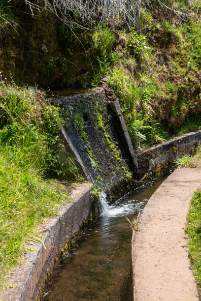 istock Fresh spring nature and a levada, Madeira, Portugal 2165570496