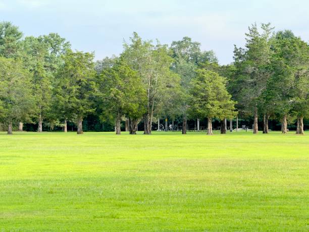 istock Open Field Hopeville Pond 2165572293