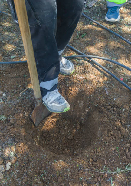 istock Digging the tree pit with the stamped spade 2165574338