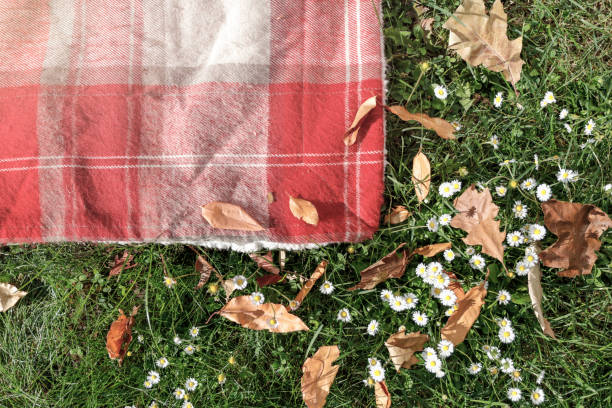istock Red checkered blanket on a green meadow with small daisies and autumn tree leaves. Warm sunny autumn day in a garden. Copy space. 2165577144
