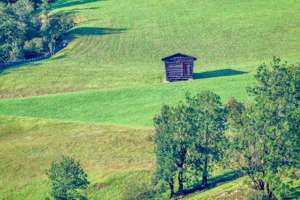 An old barn on a foggy rainy day in the Austrian Alps countryside