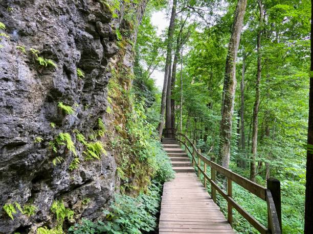 istock Maquoketa Caves State Park, Iowa 2165586921