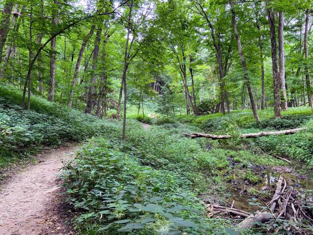 Maquoketa Caves State Park, Iowa