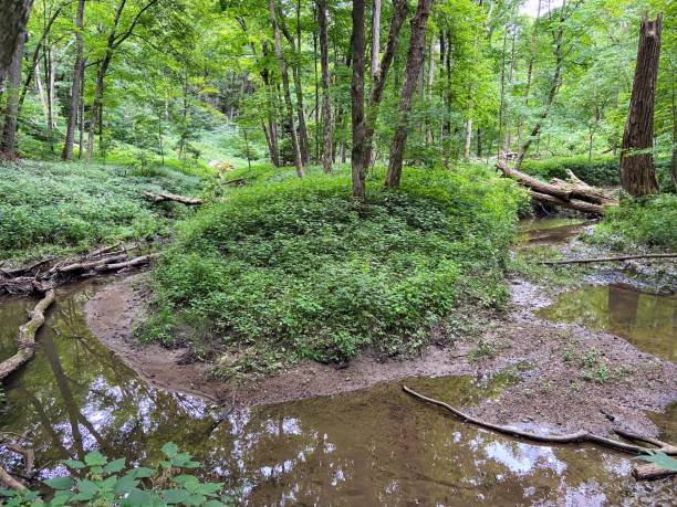 istock Maquoketa Caves State Park, Iowa 2165586965