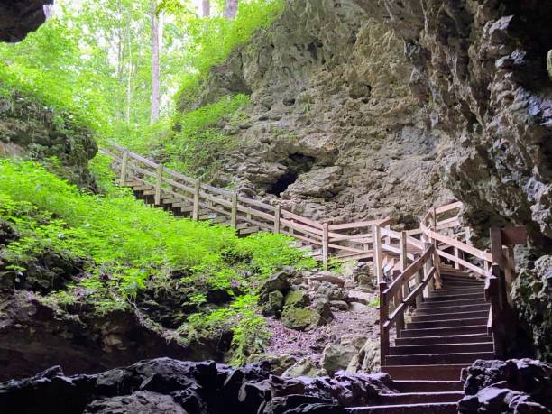 Extensive system of 150 large & small caves with unique formations & limited light. It is a part of the UNESCO Reserve of Halong Bay.