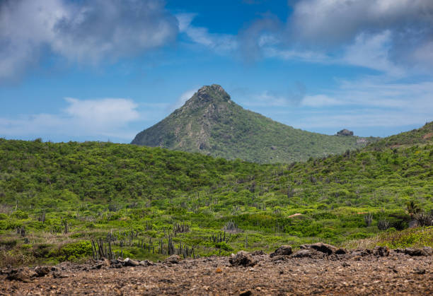 istock Curacao national park Shete boka - Christoffel peak view - forest 2165588338