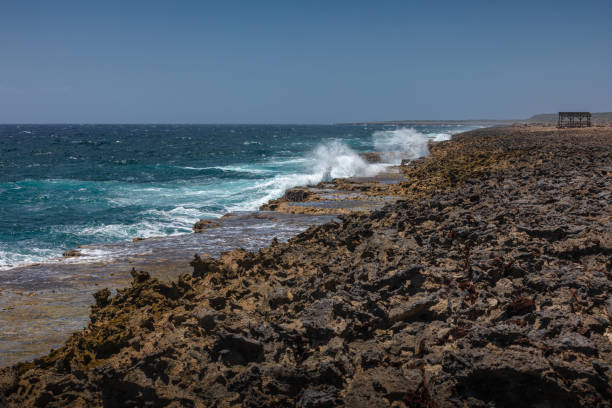 Shete boka is a Curacao's natural park at the north coast with it characteristic rocky coast and breaking waves.