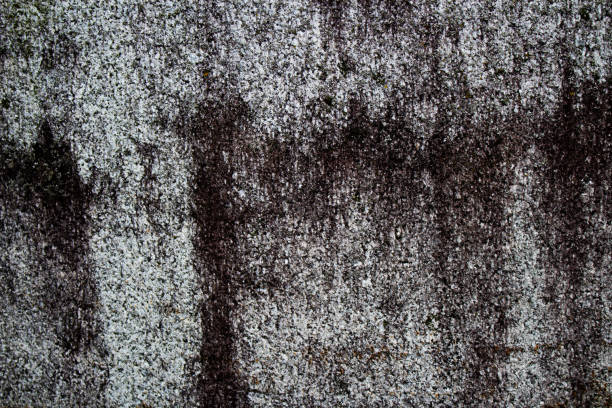 Grunge old stone background with dark black and gray toned rock