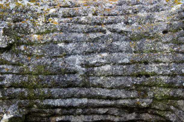 Grunge stone background.  Dark grey stone with green and yellow moss with horizontal lines
