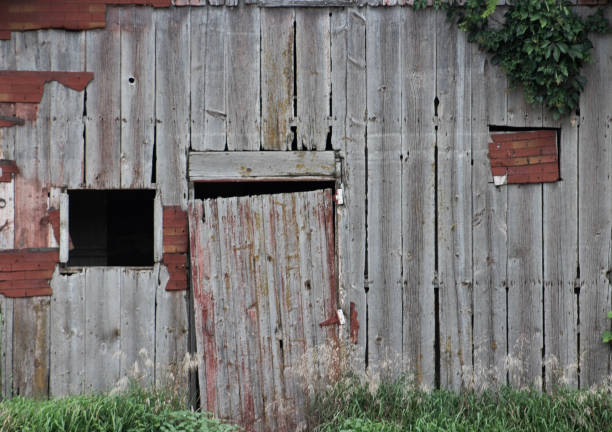 Old barn door falling off a vintage barn building in the rural midwest