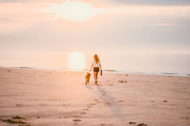 A young woman is on the beach in the autumn with her giant Leonberger dog