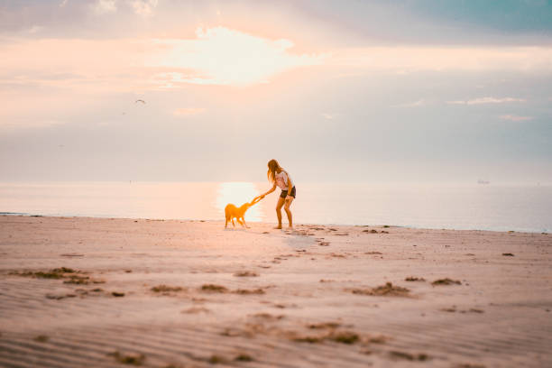istock Young woman vacations at beach with pet dog 2165593291