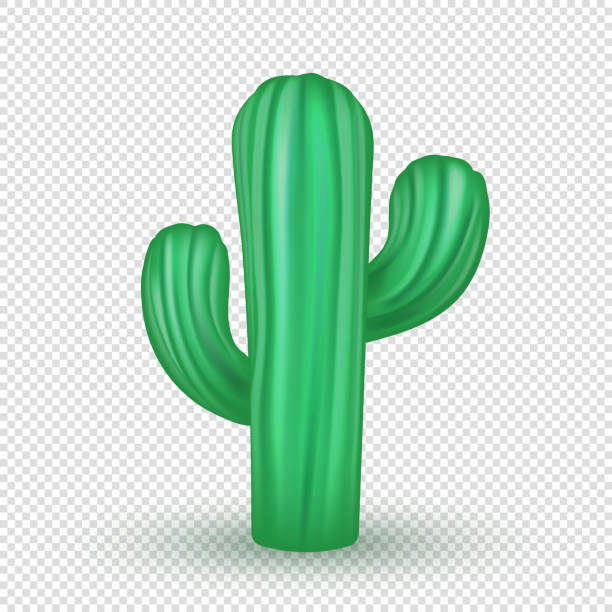 istock 3d cartoon cute  green cactus isolated on transparent background. 2165593657