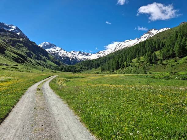 istock Fex Valley with Piz Tremoggia 2165597612