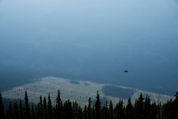 istock Sulphur Mountain Summit, Banff National Park, Alberta, Canada, July 2024 2165599471
