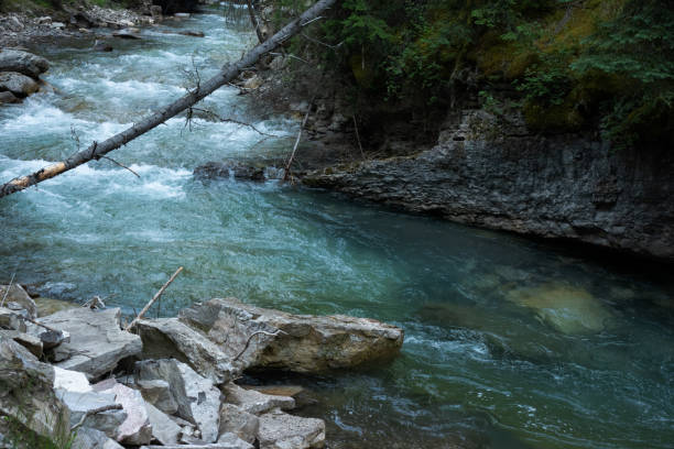istock Johnston Canyon, Banff National Park, Alberta, Canada, July 2024 2165600092