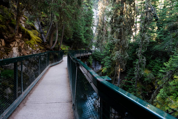istock Johnston Canyon, Banff National Park, Alberta, Canada, July 2024 2165600164