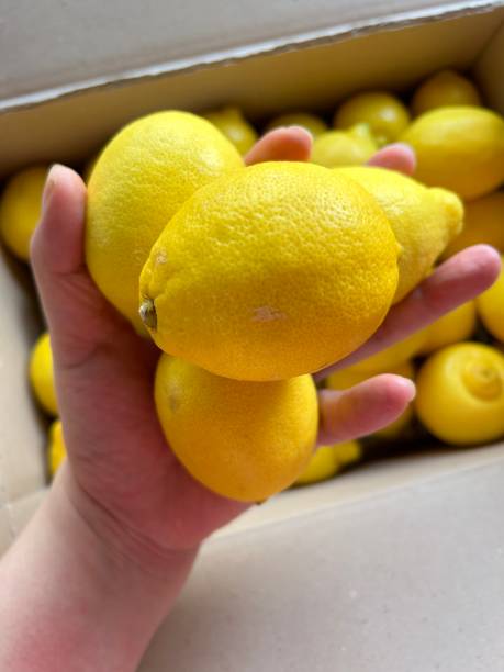 istock Fresh lemon. Lemon tree. Box of yellow lemons. Top view 2165601871