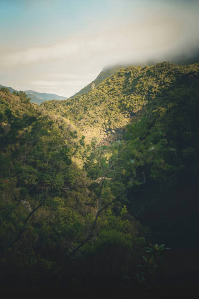istock Scenic views while hiking on Madeira Island pathways 2165602268
