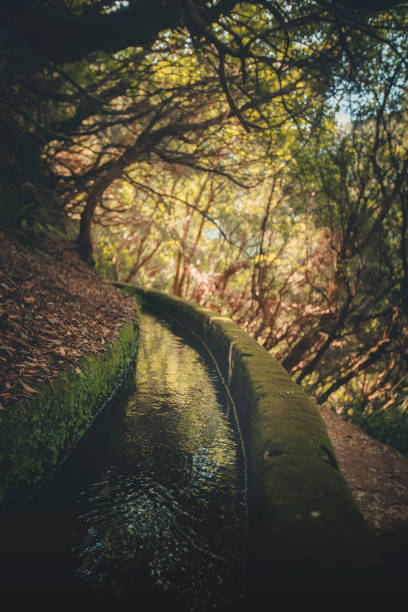 Madeira Island