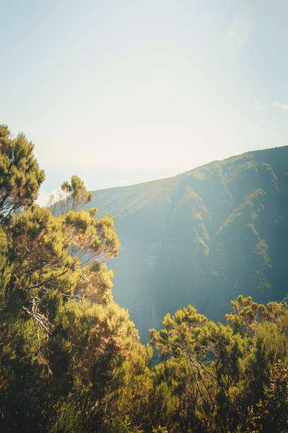 Madeira Island