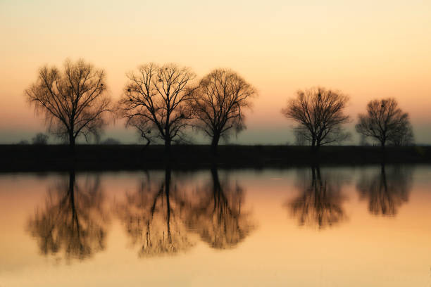 the period of time at the end of the day, usually from about six p.m. to bedtime