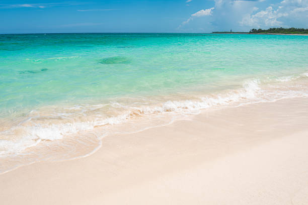 istock Xcacel beach in Chemuyil, Mexico 2165610187