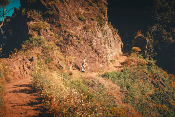 Madeira Island