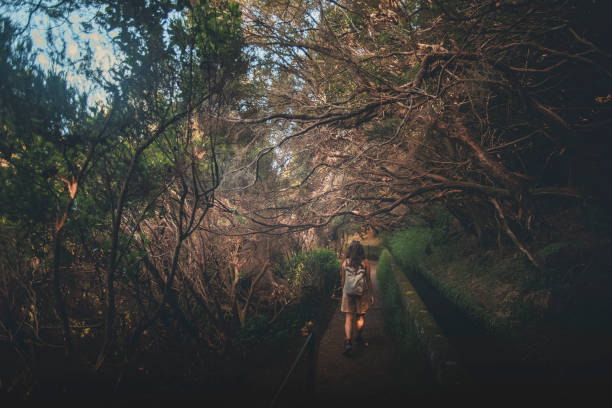istock Hiking on Madeira Island pathways 2165614383