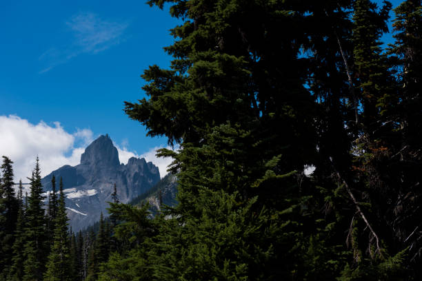 Mountain peak and forest, Black Tusk in Garibaldi Provincial Park