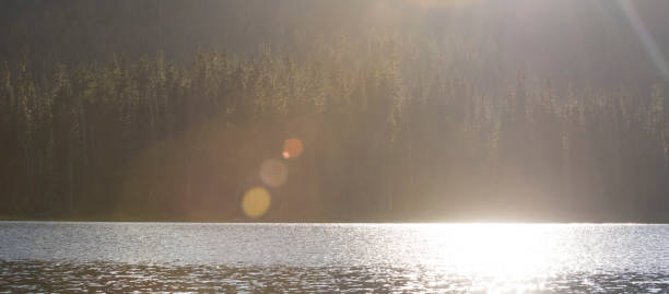 Morning sunlight on mountain lake and forest, Alta Lake, Whistler, B.C.