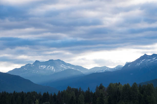Mountains and forest, Whistler