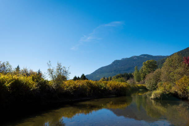 Forest, river and mountains in autumn, Whistler
