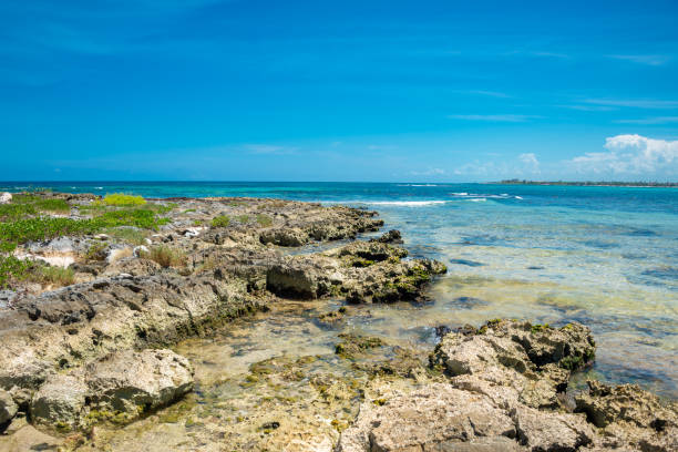 istock Rocky beach in Akumal 2165622889