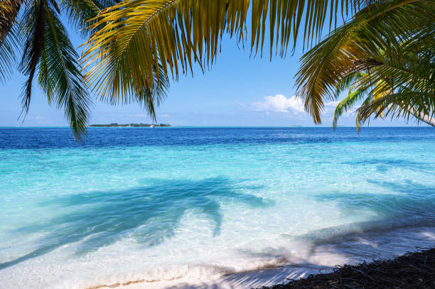 istock Tropical paradise beach scene for background or wallpaper 2165628071