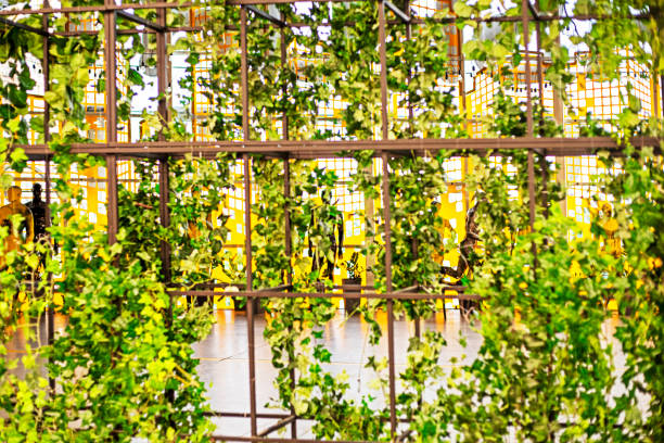 istock decorative plant elements in the interior, Interior trends 2165628818
