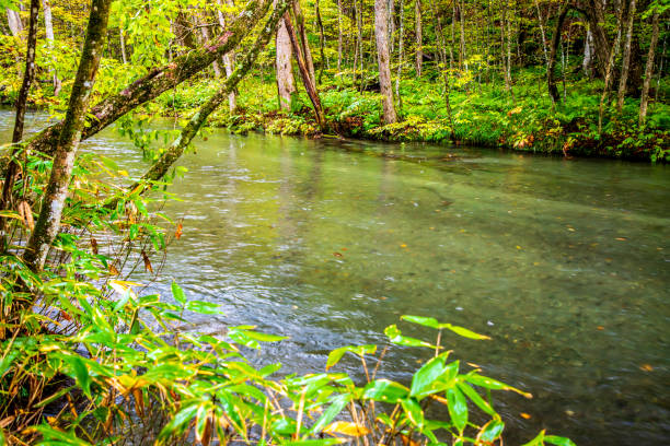 Oirase Gorge in Autumn, Aomori Prefecture