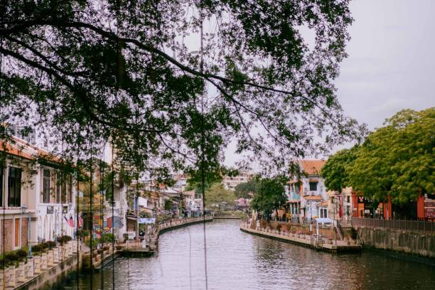 istock Melaka City River Side Canal View with Large Trees 2165630388