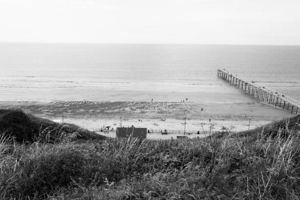 Black and white shot of Saltburn beach and Victorian Pier