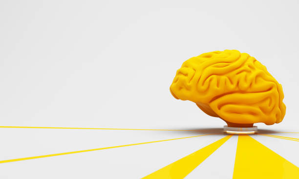istock 3D rendering of human yellow brain anatomical 2165634760